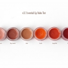 e.l.f. Essential Lip Balm Tint in Pink Princess, Rosy Rocker, Nude, Peach, Grapefruit, and Berry.
