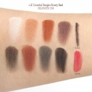 Swatches of e.l.f. Limited Edition Halloween 2014 Beauty Book in Vampire