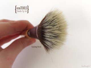 Finishing Brush from the ecoTOOLS Four Piece Touch-Up Set