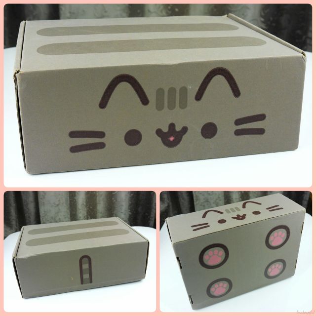 The adorable packaging for the Pusheen Box.