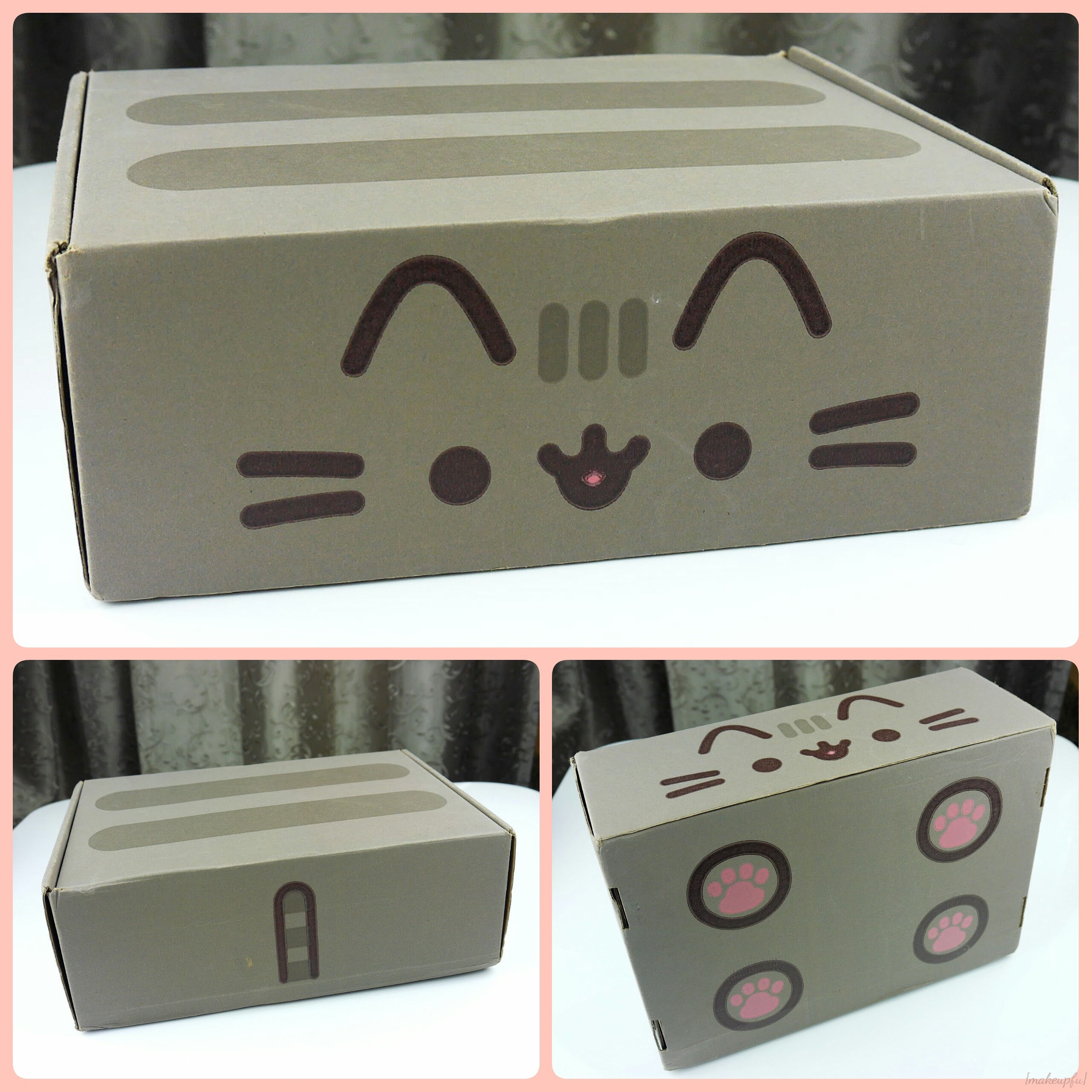 Pusheen Box Spring 2016 Review makeupfu 