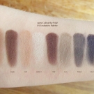 Swatches of tarte Call of the Wild 8-Shadow Palette