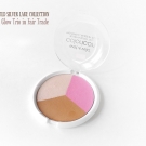 Wet n Wild Silver Lake Spring 2015 Collection ColorIcon Blush & Glow Trio in Fair Trade
